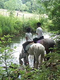 Equitourise52 la randonne questre en haute marne