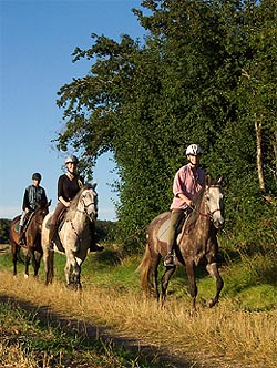 randonnee cheval haute marne